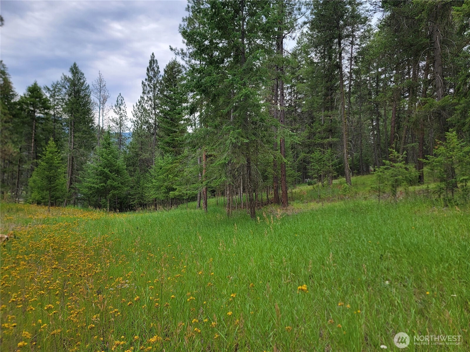 40 Evergreen Dr Unit  Curlew WA 99118