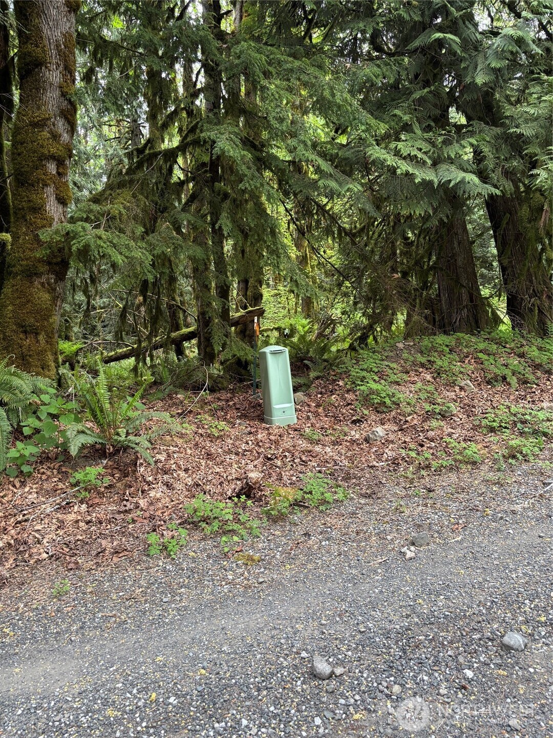 Upper Frost Creek Rd Unit  Maple Falls WA 98266