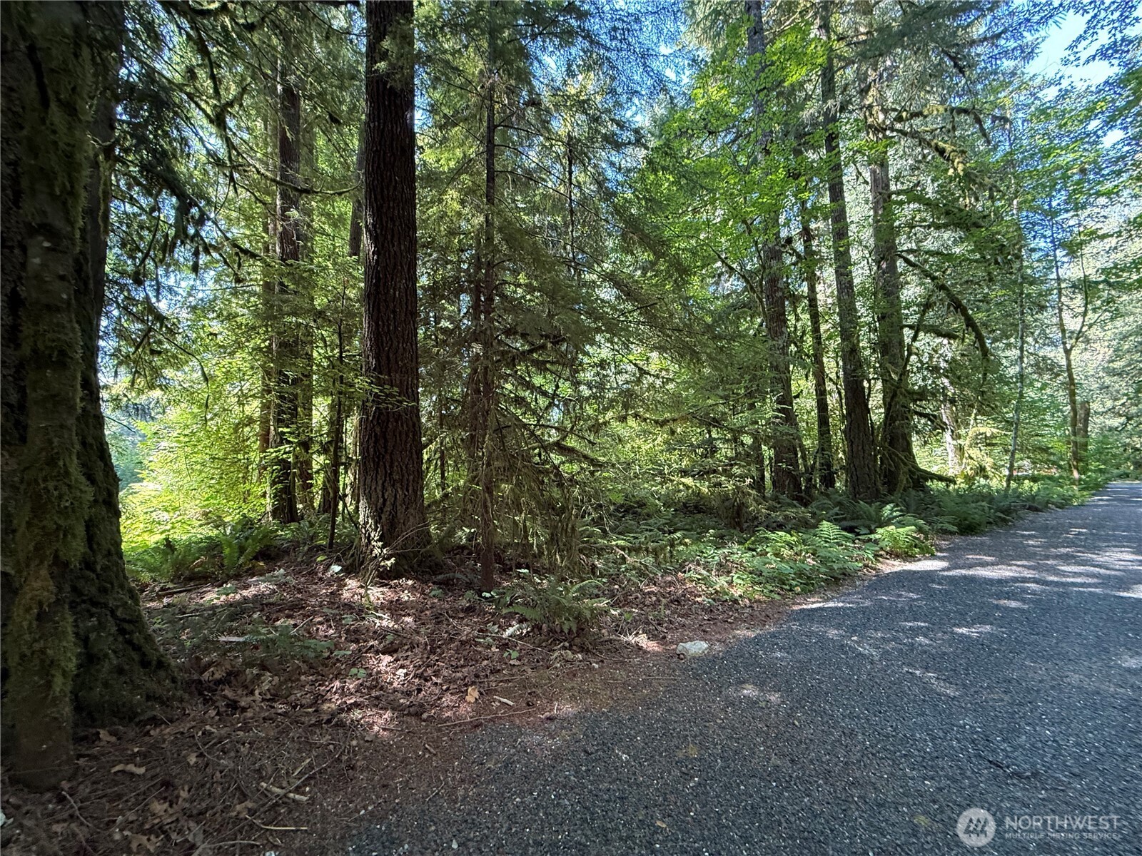 Silver Lake Rd Maple Falls WA 98266