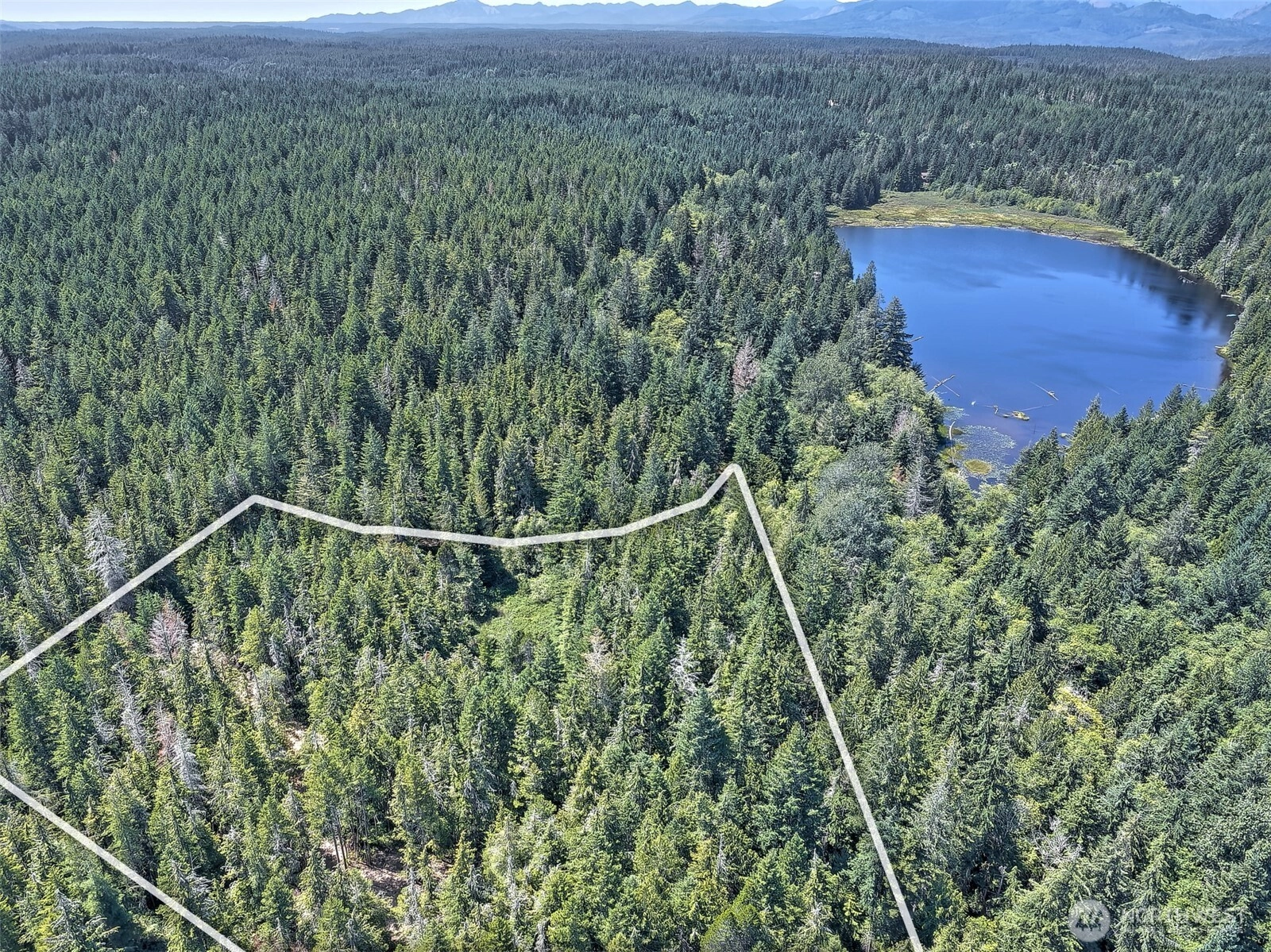 NE Eagle Creek Lane Tahuya WA 98528
