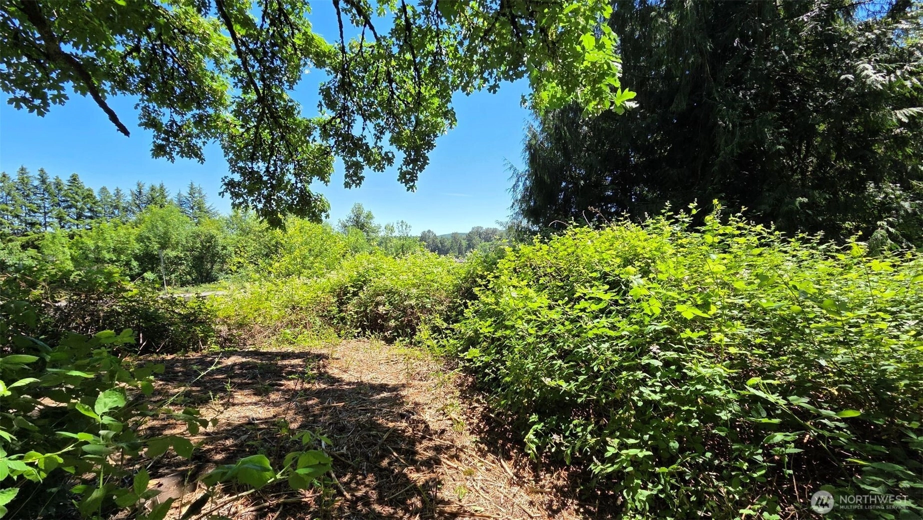 123 Mulford St Toledo WA 98591
