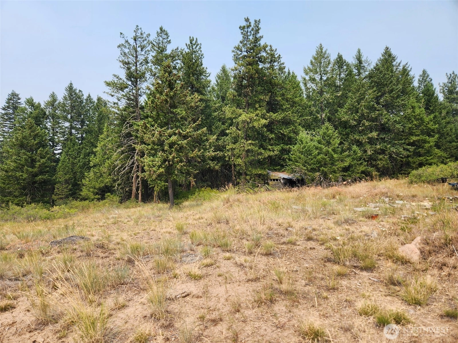 250 Union Ridge Rd Unit  Republic WA 99166