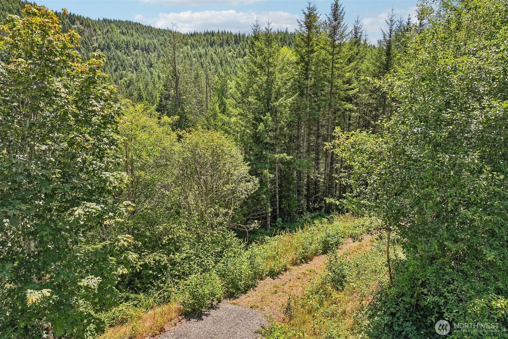 172 Mohawk Ln Amboy WA 98601