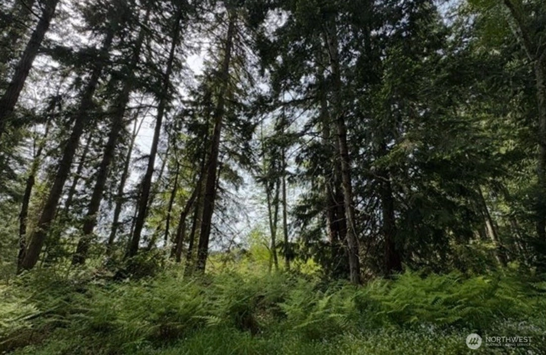 11106 Spruce Dr Anderson Island WA 98303