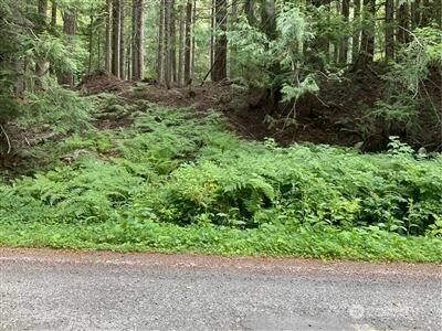 87426 NE Old Cascade Hwy Skykomish WA 98288