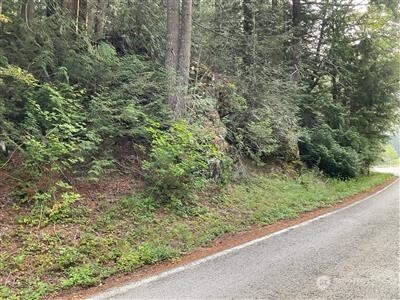 87442 NE Old Cascade Hwy Unit  Skykomish WA 98288