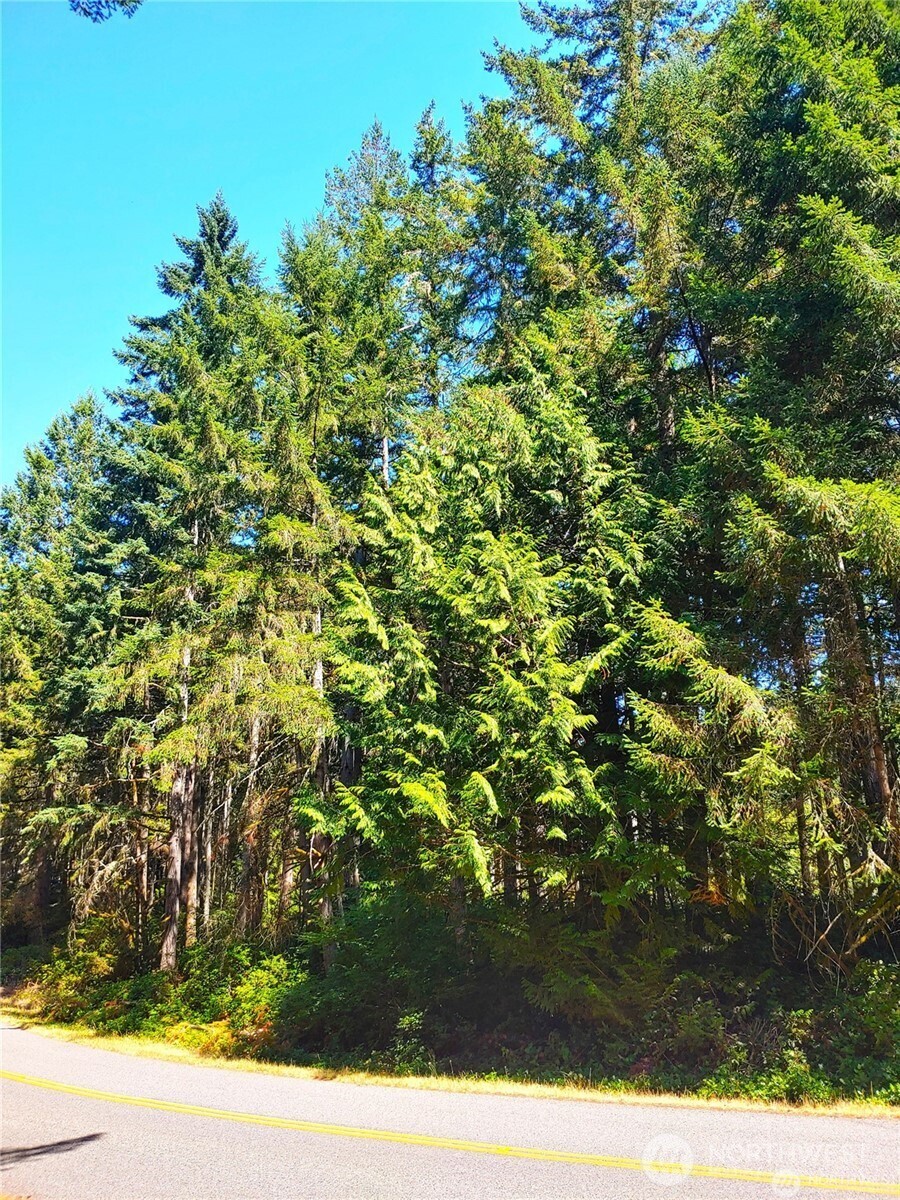 11511 Lake Josephine Blvd Unit  Anderson Island WA 98303