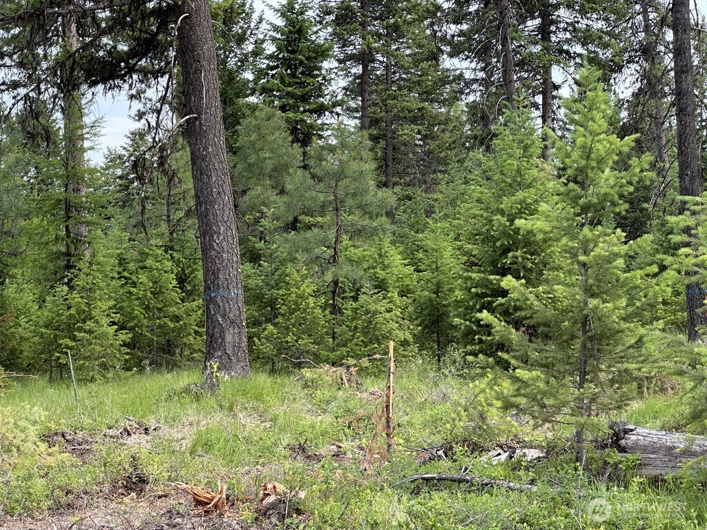 3600 Lot B Sheridan Republic WA 99166