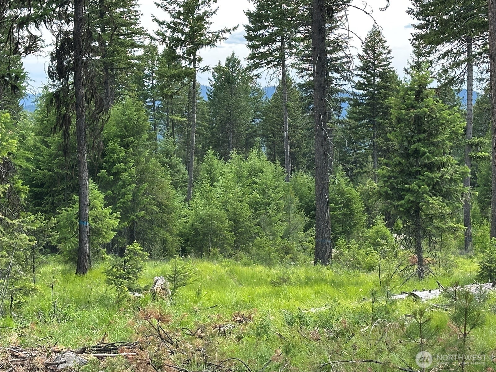 3600 Lot A Sheridan Republic WA 99166