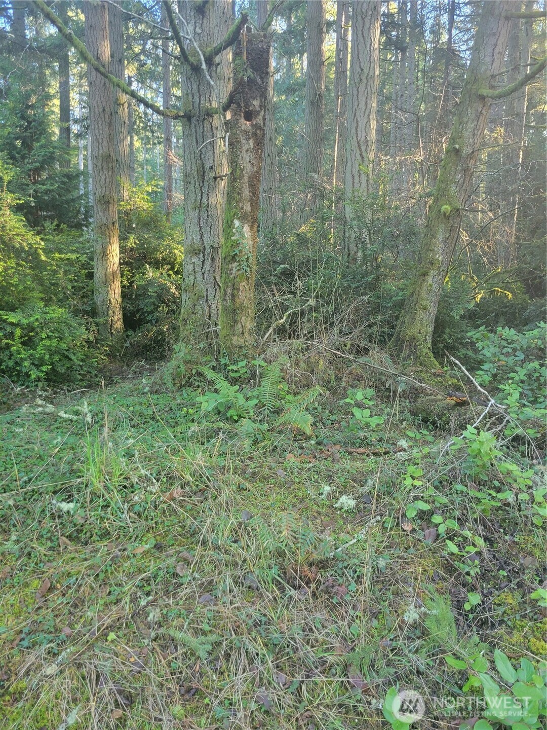 11920 Country Club Dr Anderson Island WA 98303