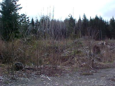 60 xx Clearwater Queets WA 98331
