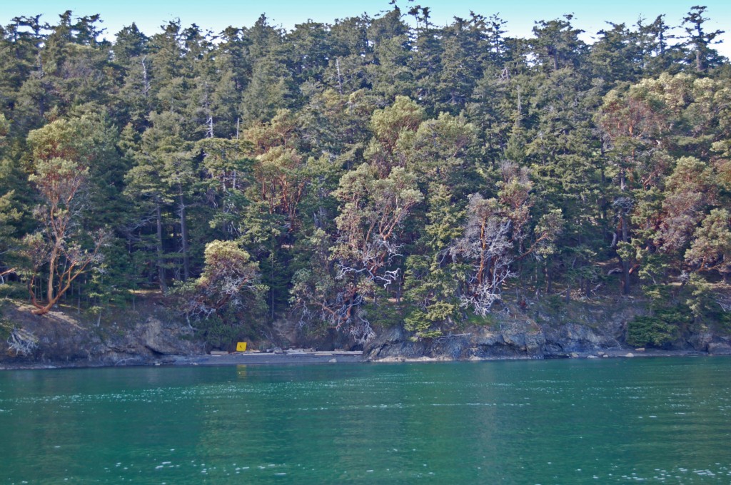 0 Lot 4 Smugglers Rowe Unit  Henry Island WA 98250