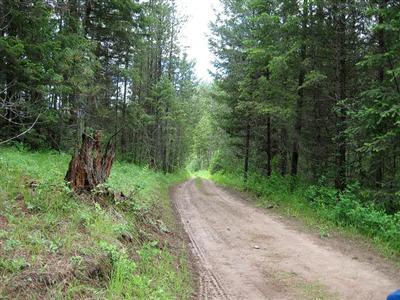0 TBD Springdale-Hunters Rd Springdale WA 99173