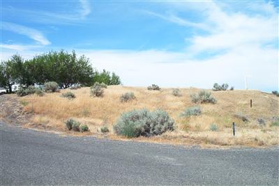 602 Tyler Pl W Unit  Marlin WA 99349