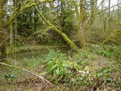 0 xxx Mox Chehalis Rd Malone WA 98559