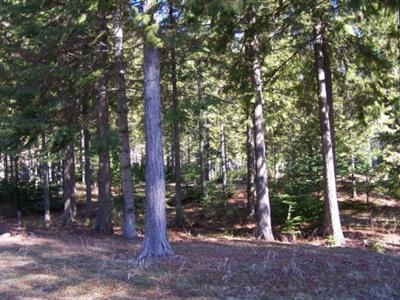 0 TBD Hwy 31 Ione WA 99139