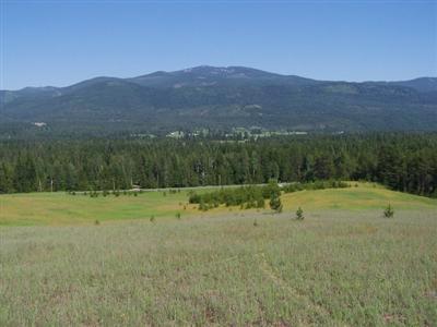 0 Lot12 Greenhouse Rd Ione WA 99139