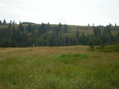 1593 Evans Cutoff Rd Evans WA 99126
