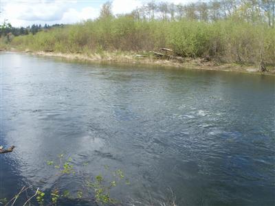 0 xxxx East Satsop Rd Satsop WA 98563