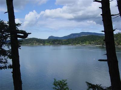 209 Dock Dr Unit  Crane Island WA 98243