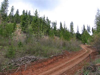 3660 Red Marble Rd Valley WA 99181
