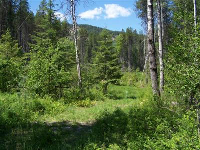 0 Lot 39 A Farber Ln Ione WA 99139