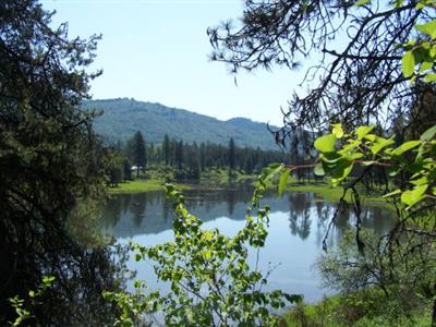 0 Lot 1 Rustic Rd Ione WA 99139