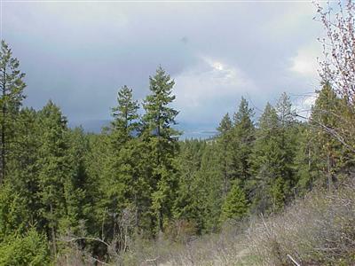 0 Lot 6 Bissell Rd Unit  Gifford WA 99131