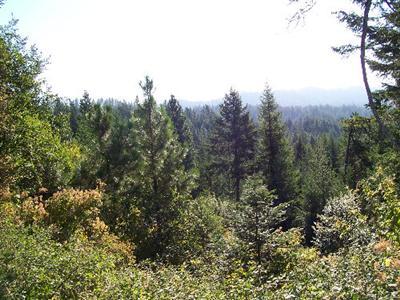 37830 Lot E Valley Rd Elk WA 99208