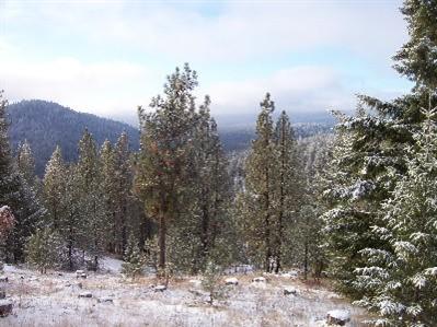 0 999 Silver Creek Rd Keller WA 99140