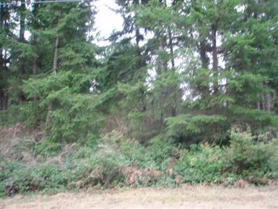 14006 X 129th Ave NW Purdy WA 98329