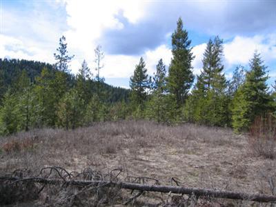 0 Tbd Deer Creek Springdale WA 99173
