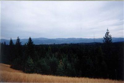 0 XXX Flowery Trail Rd Usk WA 99180