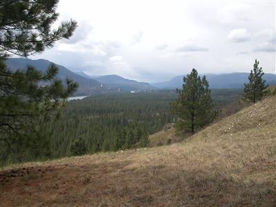 0 TBD Mitchell Rd Northport WA 99157