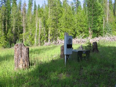 3890 M Cedar Creek Rd Northport WA 99157