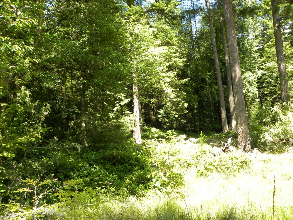 Madrona Estates Lt 23 Unit  Cypress Island WA 98221