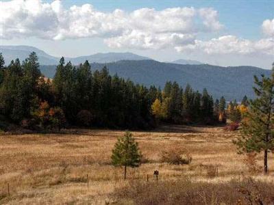 3294 Braddeen Rd Rice WA 99167