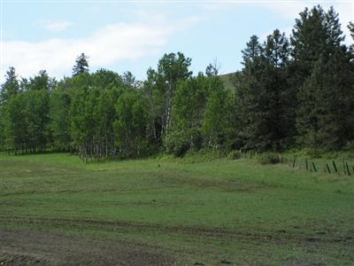 3390 Spirit Ridge Way Rice WA 99167