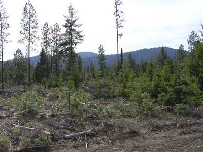 0 tbd Silver Creek Rd Inchelium WA 99138
