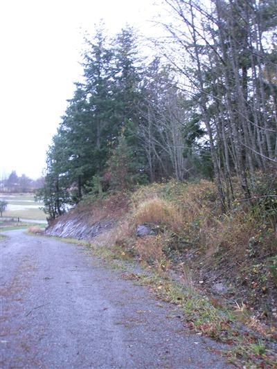 15557 Flinn Rd Blanchard WA 98232