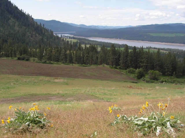 5 Spirit Ridge Way Gifford WA 99131