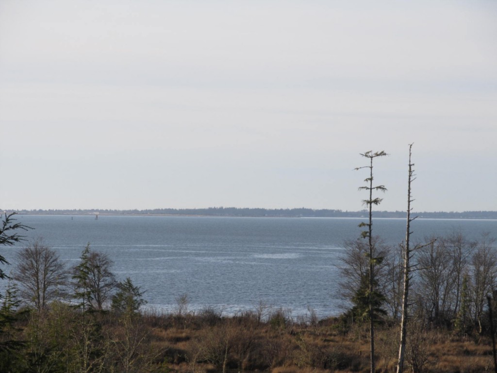21 John Cudahy Ln Unit  Ocosta WA 98547
