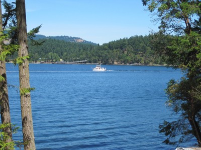 52 Dock Rd Unit  Crane Island WA 98245