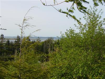 26 John Cudahy Ln Unit  Ocosta WA 98520
