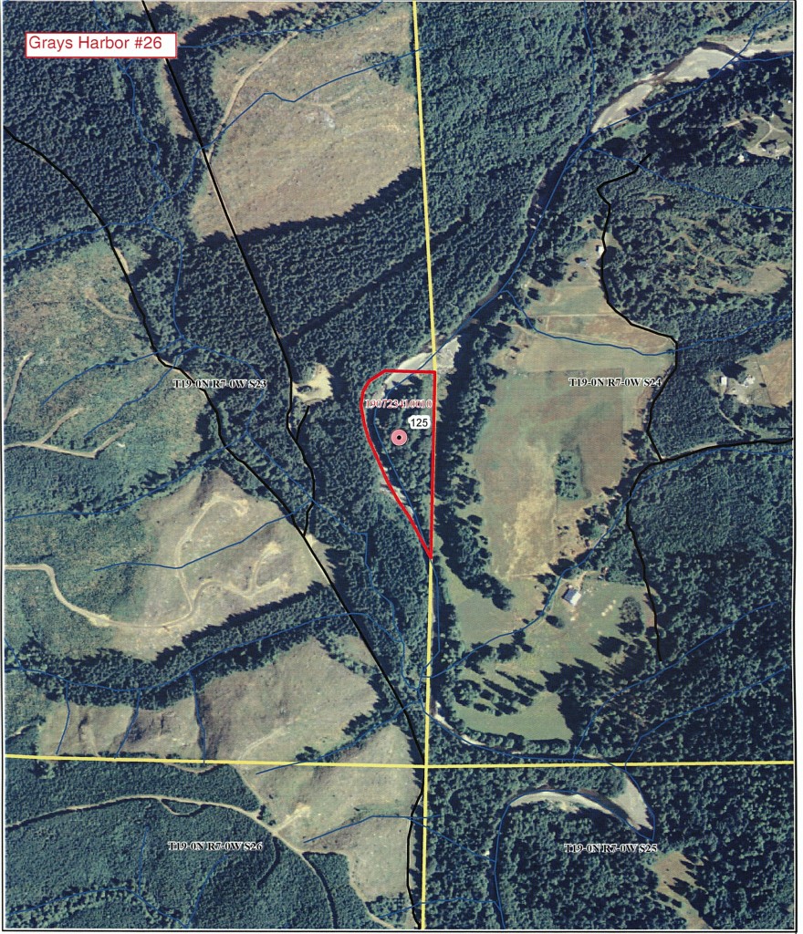 0 X Middle Fork Satsop Satsop WA 98541