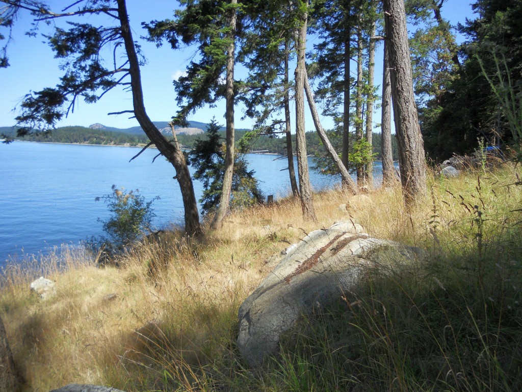 8 Circle Crane Island WA 98243