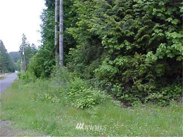 2 parcel England Dr Hood Canal WA 98548