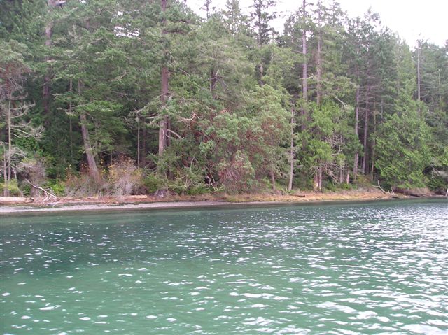 16 Driftwood Shores Unit  Henry Island WA 98250