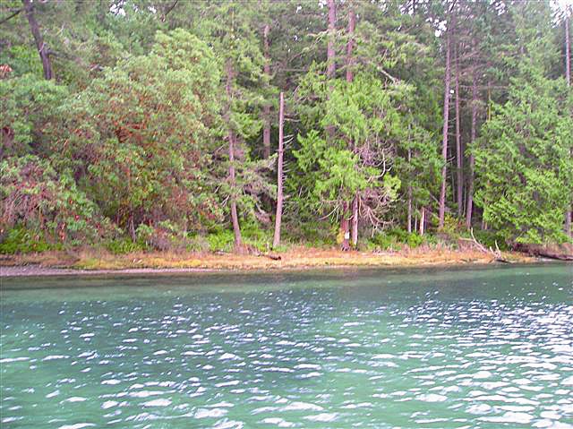 15 Driftwood Shores Unit  Henry Island WA 98250