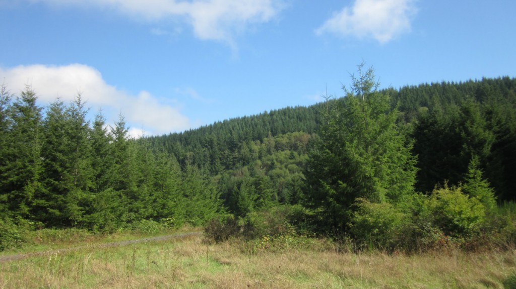 0 XXX Middle Earth Ln Unit  Malone WA 98541